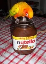 Nejmlsnější ptáček